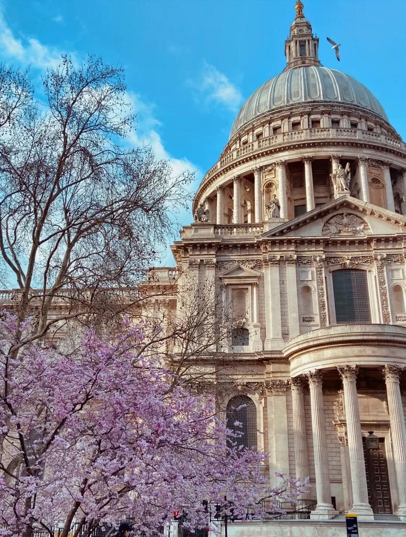 威斯康星大学麦迪逊分校